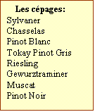 Zone de Texte: Les cépages:  
Sylvaner
Chasselas
Pinot Blanc
Tokay Pinot Gris
Riesling
Gewurztraminer
Muscat	
Pinot Noir	

