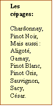 Zone de Texte: Les cépages:  
	
Chardonnay,
Pinot Noir,
Mais aussi :
Aligoté,
Gamay,
Pinot Blanc,
Pinot Gris,
Sauvignon,
Sacy,
César.
