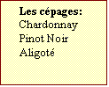 Text Box: Les cépages:  
Chardonnay
Pinot Noir
Aligoté

