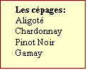 Zone de Texte: Les cépages:  
Aligoté
Chardonnay
Pinot Noir Gamay	
