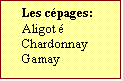 Zone de Texte: Les cépages:  
Aligot	é
Chardonnay
Gamay	
