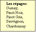 Zone de Texte: Les cépages:  
Gamay,
Pinot Noir,
Pinot Gris,
Sauvignon,
Chardonnay.	
