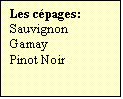 Zone de Texte: Les cépages:
Sauvignon
Gamay
Pinot Noir

