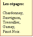 Zone de Texte: Les cépages:  

Chardonnay,
Sauvignon,
Tressallier,
Gamay,
Pinot Noir.

