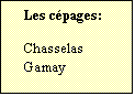 Zone de Texte: Les cépages:  

Chasselas
Gamay	
