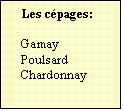 Zone de Texte: Les cépages:  

Gamay
Poulsard
Chardonnay
	
